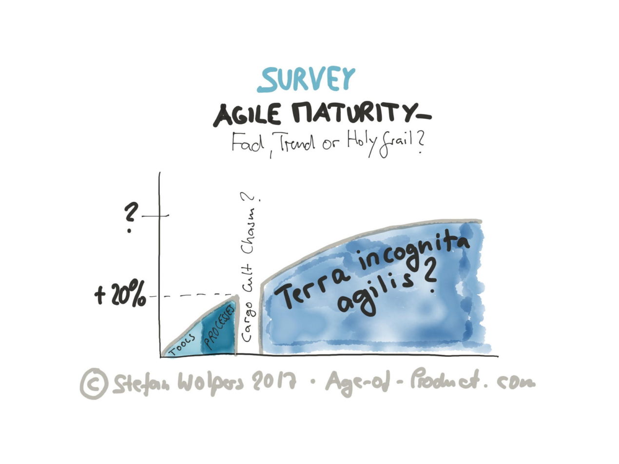 Agile Maturity—Fad, Trend or Holy Grail by Age of Product